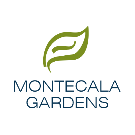 Marketing, Icono, Benitachell, Cumbre Del Sol, PALMERAS, AP08 Montecala Gardens